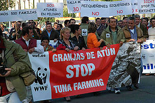 WWF and Spanish artisanal tuna fishers join in a demonstration asking the International Commission ... / ©: WWF/Carlos G. Vallecillo WWF and Spanish artisanal tuna fishers join in a demonstration asking the International Commission ... / ©: WWF/Carlos G. Vallecillo