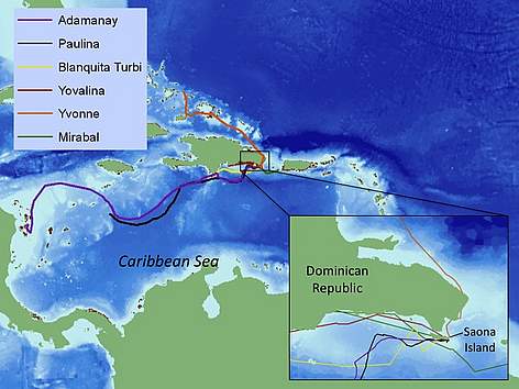 Movements of the six tagged hawksbills (March 2009) / ©: WWF/Marianne Fish rel=