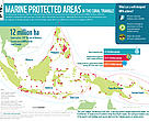 MPAs in the Coral Triangle thumbnail of infographic