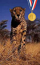  / &copy;: WWF-Canon / Martin harvey