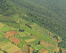 Small-scale farming in newly cleared areas, southwest Mau forests, Kenya. Farming is taking place on extremely steep slopes (up to 60°) without soil conservation measures, leading to erosion.