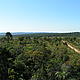 Reserva Mbaracayu © Foto by Arjen Struijk