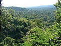 Reserva Mbaracayu / &copy;: Carmen Vitale