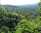 Reserva Mbaracayu