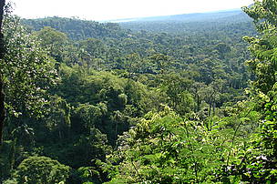 Reserva Mbaracayu