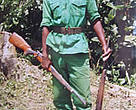 Hunter-turned-ranger, Thomas Mbot displaying two guns seized from poachers.