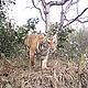 &copy; WWF Nepal
