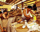 High-valued medicinal plants, such as ginseng, are in high demand throughout the Asian region. Medicinal plant market. Sichuan Province, China