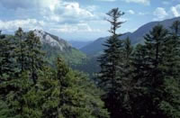 Velebit mixed beech, silver fir, spruce forests, Croatia. / ©: WWF Mediterranean / E.Leonardi Velebit mixed beech, silver fir, spruce forests, Croatia. / ©: WWF Mediterranean / E.Leonardi