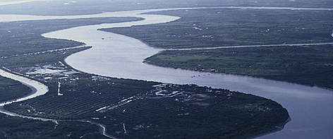 Aerial view of the Mekong Delta in Southern Vietnam. / ©: WWF-Canon / Elizabeth KEMF Aerial view of the Mekong Delta in Southern Vietnam. rel=