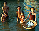 Children with a basket full of Mekong freshwater herring. Tonle Sap River, Cambodia.