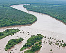 The Mekong River winding through the flooded forest in Cambodia.