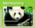  / &copy;: WWF - Thailand