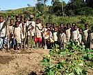 Members of Madagascar's Vintsy Club.