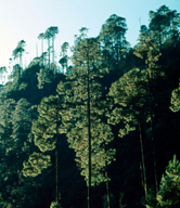  / &copy;: WWF-Canon / Anthony B. RATH
