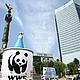 &copy; Freddy Yazbek / WWF-Mexico