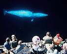 Tourists watching a Minke whale (Balaenoptera acutorostrata). Norway