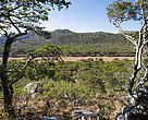 Covering an area of 3.6 million sq km and ten eastern and southern African countries, the Miombo Ecoregion is an amazingly diverse tropical woodland and wetland environment.