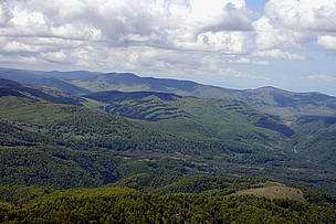 The pristine forests of Maramures are under threat from loggers. / ©: Pop Emil / ©: Pop Emil
