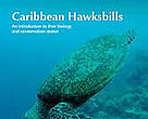 Caribbean Hawksbills - a monograph