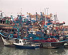 Morocco harbours the bulk of the Mediterranean's driftnet fleet, and despite a ban, driftnets are still being used by Algerian, French, Italian, and Turkish fleets.