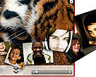 Over 25,000 people from at least 146 countries have submitted their photos online to create the International Tiger Coalition’s photo mosaic.