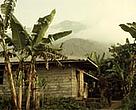 Typical house with Mt Kupe in the background shrouded by clouds, Cameroon.