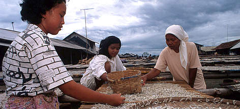 Marine Protected Areas can help secure the livelihoods for some of the world's poorest people. / ©: WWF-Canon / Tantyo BANGUN Marine Protected Areas can help secure the livelihoods for some of the world's poorest people. rel=