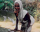 Tulsi Khara