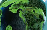 Rio Negro Forest Reserve, Amazonas, Brazil.