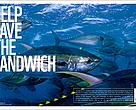 The tuna in your sandwich needs help. Because many species are being overfished driving them to
the brink of collapse. Indiscriminate tuna fishing also harms other sea life.WWF is working with
fishers to get smarter fishing gear in the water and leaders in the tuna industry to get more sustainable
seafood in your sandwich. WWF also co-founded the Marine Stewardship Council (MSC) an
independent organisation that certifies and rewards sustainable fishing. Look for the MSC’s ecolabel to enjoy sustainable seafood.