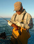 MSC certified fisherman with California spiny lobster at Baja California, Gulf of California, ... / ©: WWF-Canon / Gustavo YBARRA MSC certified fisherman with California spiny lobster at Baja California, Gulf of California, ... / ©: WWF-Canon / Gustavo YBARRA