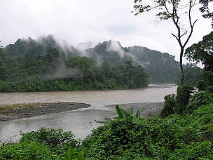 Bordering India’s mighty Brahmaputra River in the south and the foothills of the eastern Himalayas ... / ©: WWF AREAS / ©: WWF AREAS