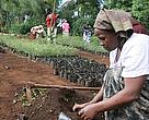 Nelly Damaris Chepkoskei, working with her community to secure it from already apparent climate change impacts