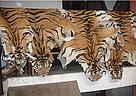 Tiger skins seized by Nepalese police / ©: Diwakar Chapagain / WWF-Nepal / ©: Diwakar Chapagain / WWF-Nepal