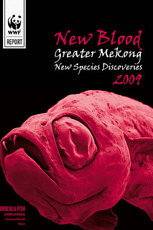New Blood new species report front cover. / ©: WWF Greater Mekong / ©: WWF Greater Mekong