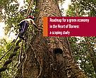 Roadmap for a green economy in the Heart of Borneo: a scoping study