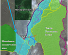This map shows the explored trekking system. The Bkt Teraja Protection forest reserve and proposed extension area are in between the Labi road and LoggingRoadEast. There are many waterfalls and hiking treks (Brown = unmarked path, Orange = more difficult hike or animal trail, Red=hard trek, Blue = river scramble). Nearly all ridges have a kind of trail (orange) that is or has been used by seismic survey staff, military, poachers, or animals.

Map. Location of trails walked in the survey area (Teraja Protection forest and proposed extension). Note that most trails and waterfalls are within the proposed extension.