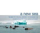 Arctic governance is the theme of the report, "A New Sea" by Brooks Yeager and Dr Robert Huebert.
