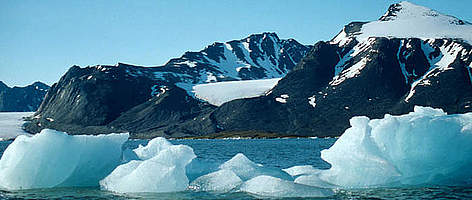 New Arctic needs new rules / ©: WWF / ©: WWF