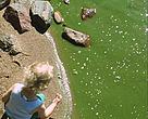No more EU-trophication