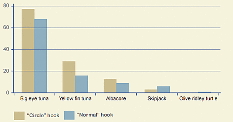 Differences in tuna catch when using circle and normal hooks. Source: Musthofa Zainudin I, Pet ... / ©: WWF rel=