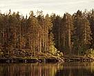 Less than 1 per cent of Norway's forests are currently protected.
