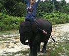 Noverica (Very) Widjojo on an elephant