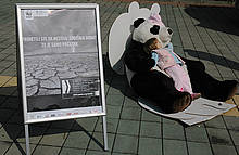Novi Sad - Climate change caravan 2008 / ©: WWF DCP / ©: WWF DCP