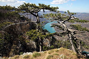 Tara / ©: IUCN_Boris Erg / ©: IUCN_Boris Erg