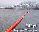 A new report commissioned by WWF and developed by Nuka Research and Planning Group, LLC.