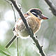 &copy; Fredy Ramírez / WWF Paraguay
