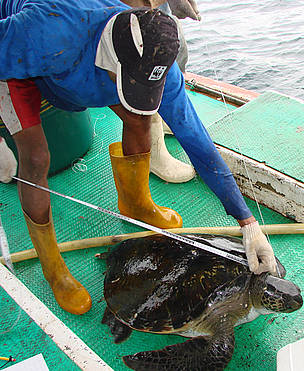  / &copy;: WWF/ Carlos M. IMBACH