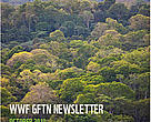 GFTN Quarterly Newsletter, October 2010